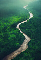 river in the tropical jungle forest