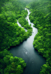 Naklejka na ściany i meble river in the tropical jungle forest