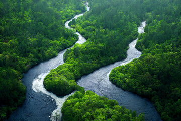 river in the tropical jungle forest - Powered by Adobe