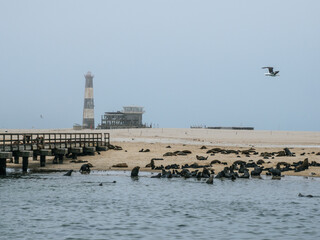 Lighthouse at Pelican Point, Namibia