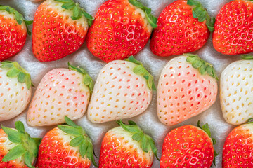 Fresh pink snow strawberry in packaging on white background, Red and Pink snow Strawberries on White Background.