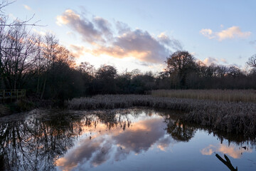 Fototapeta premium Sunset in the forest, England, December