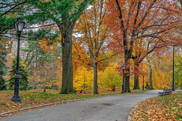 Naklejka premium Autumn in Central Park