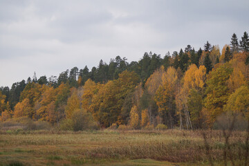 autumn in the mountains