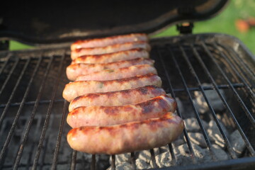 grilled meat on the grill