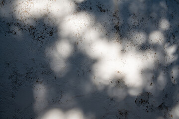 Sombras sobre una pared rugosa pintada de blanco