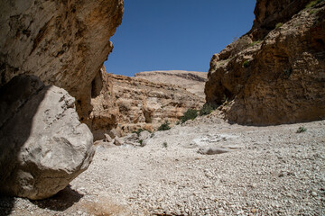 Wadi Bani Khalid, nature of Oman