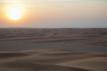 Fototapeta na wymiar Wahiba Sands, desert of Oman