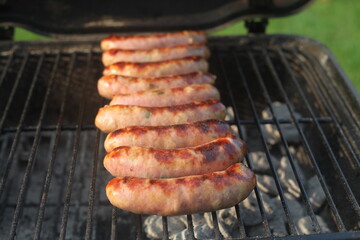 grilled meat on the grill