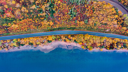 Autumn Colors in Forest, Drone view of Cape Breton Island, Forest Drone view, Colorful Trees in Jungle, Forest Drone View, Island Drone view, Autumn Colors in Jungle, Mountain Landscape Fall Colors