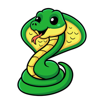 Cute little cobra snake cartoon