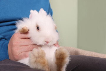Man with fluffy white rabbit indoors, closeup and space for text. Cute pet