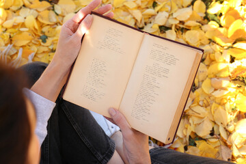 Naklejka na ściany i meble Woman reading book outdoors on autumn day, above view