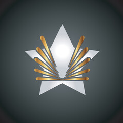 Vector star logo. Design template