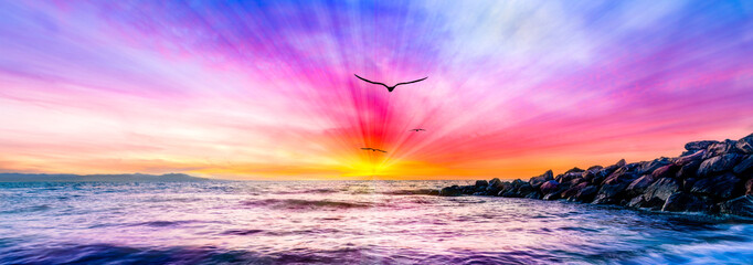 Inspirational Sunset Bird Sun Rays Flying Colorful Uplifting Banner