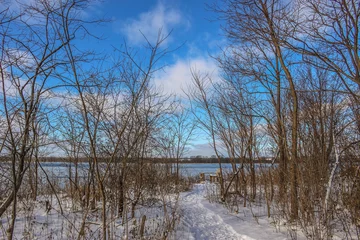 Foto auf Leinwand Beautiful winter landscape at the ravine Petrie Island, Ottawa river © Catherine