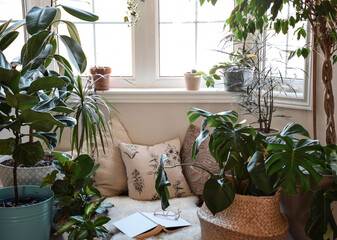 Cozy nook by a window with houseplants and a book