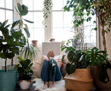 Young girl sitting by a window with houseplants reading a book covering her face