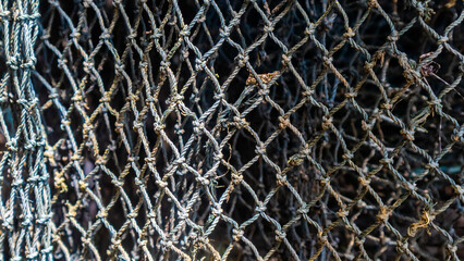 fish mesh texture as background