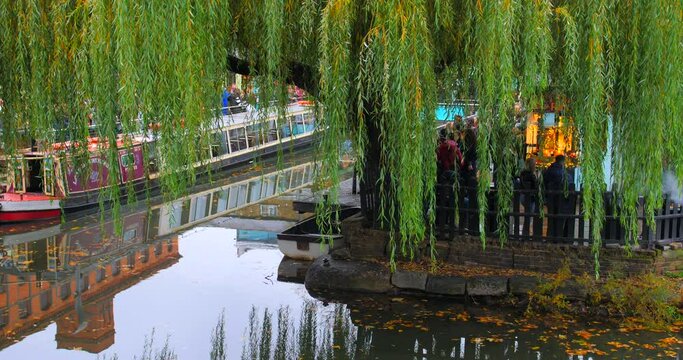 Willow Tree  At Camden Lock With People Hanging Out On The Canalside Of Regent's Canal Afterwork In London, UK. - wide