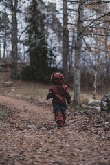 little child walking in autumn forest