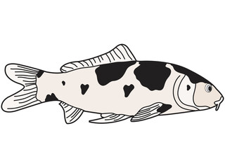 Koi fish in line art style on white background.