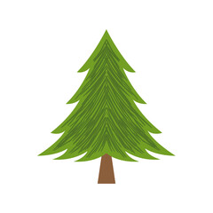 Christmas tree illustration A collection of cartoon pines suitable for greeting cards, invitations, banners, and the web. Christmas decorative elements on a white background