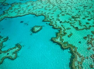 Fototapeta na wymiar Heart Reef Great Barrier Reef Australia 