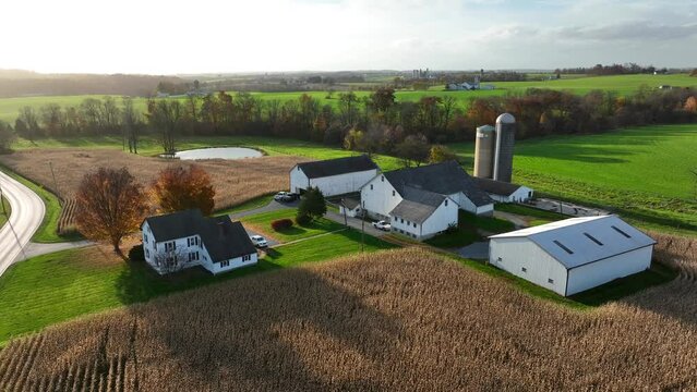 Aerial orbit of American family farm buildings in USA. Rural American fields in autumn fall season. Golden hour magic hour light.