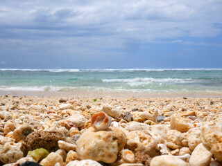 Fototapeta na wymiar Background beach atmosphere with colorful coral, seashells and pebbles