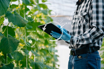 Agriculture technology farmer woman holding tablet or tablet technology to research about...