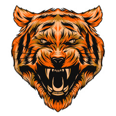 tiger head vector