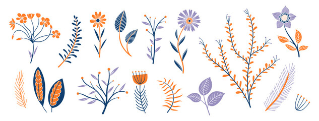 set collection plants flowers and leaves - hand draw vector. Drawing beautiful plants, and decorative set with colours