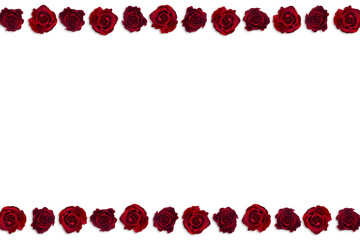 Valentine's Day. Flowers composition. frame made of rose flowers, background.