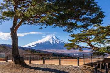 忍野村二十曲峠から冬の富士山