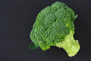 Fresh broccoli head with leaves on a black background, fresh, healthy, raw green superfood
