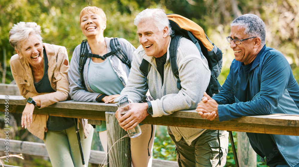 Wall mural Elderly, people hiking and happy in park with fitness outdoor, relax on bridge while trekking in nature together. Health, wellness and hiker group, sport and active lifestyle motivation with cardio.