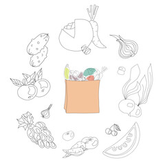 Bag with vegetables on white background. Hand drawn fruits and veges around the paper bag with groceries