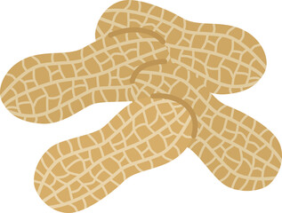 落花生の殻のイラスト