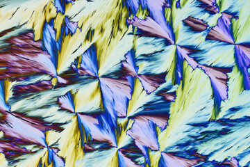 Colorful micro crystals in polarized light. Photo through a microscope - 557101597