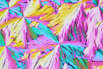 Colorful micro crystals in polarized light. Photo through a microscope - 557101599