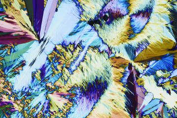 Colorful micro crystals in polarized light. Photo through a microscope - 557101725