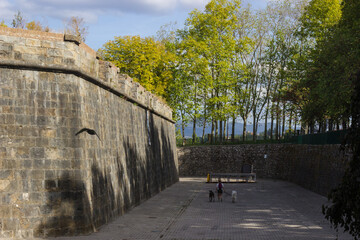 Young woman walking her dogs in the park near a fortress
