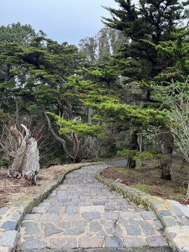 japanese garden in the garden