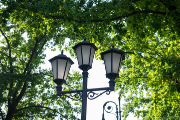a street lamp of three plafonds on a clear day in the trees