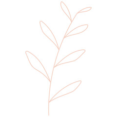 Obraz premium Hand drawn plant outline stroke