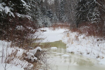 Winter Up The Creek, Whitemud Park, Edmonton, Alberta