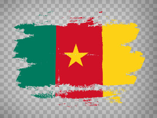 Flag of  Cameroon brush stroke background.  Flag Cameroon on transparent background for your design, app, UI.  Stock vector. EPS10.