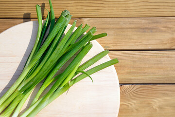 Spring onions flat lay on a plate. Also known as Scallions are vegetables drivied from the genus Allium. Milder to the taste than onions or garlic. - obrazy, fototapety, plakaty