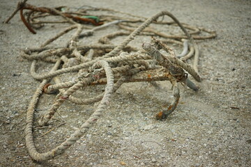 道の上に置かれた絡んでいる縄